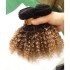 Afro Kinky Curly T1b/4/27 real wig African explosive song hair curtain T color wig hair curtain