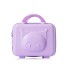 Cartoon candy colored suitcase for women, 14 inch portable makeup bag, cute, large capacity, mini, portable, mother and child box for students