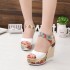 Foreign Trade Sandals for Women 2022 Spring/Summer New Style Thick Bottom Slope Heel Buckle Strap Bohemian Style Outdoor Fashion Sandals