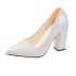 High heeled single shoe women's 2023 spring new style shallow mouth pointed toe thick heel work shoes big size 414243 heel shoes