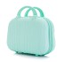 Internet celebrity makeup case, portable small size, portable 14 inch suitcase, women's mini travel case, storage bag, large capacity