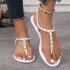 Grape Mom Summer New Vacation Style Thin Belt Pinch Toe Metal Buckle Flat Sandals Women's One Belt Non slip Sandals