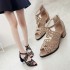 Foreign Trade Wish Spring/Summer Korean Edition Mid Heel Fish Mouth Hollow Sandals Women's Zipper Thick Heel Water Diamond Women's Shoes Large Size