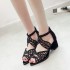 Foreign Trade Wish Spring/Summer Korean Edition Mid Heel Fish Mouth Hollow Sandals Women's Zipper Thick Heel Water Diamond Women's Shoes Large Size