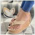 Wish foreign trade summer new student sponge cake large size cool slippers with sloping heel and thick sole flip flops for women's fashionable outerwear slippers