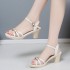 Sandals Women's Summer 2021 New Fairy Wind Fish Mouth Heel Sandals High Heels Women's One Button Thick Heel Shoes Trendy