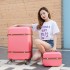 Mother and Child Luggage, Female Retro Art Travel, Japanese Cute Korean Edition, Personalized, Small and Fresh 20 inch Student Trolley