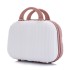 Internet celebrity makeup case, portable small size, portable 14 inch suitcase, women's mini travel case, storage bag, large capacity