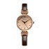 New Fashionable Round Student Women's Watch with Ins Style, Small, Light, Luxury, High End Lifestyle, Waterproof Quartz Watch