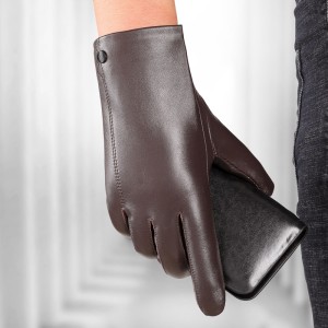 Leather gloves for men in winter, warm and plush, thick for driving and riding, touch screen, top layer sheepskin, motorcycle, cool and stylish