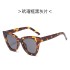 2020 New Fashionable Large Frame Cat Eye Sunglasses for Men and Women, Same Vintage Sunglasses, Cross border Supply