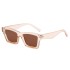 8 color series new sunglasses, atmospheric, fashionable, versatile sunglasses, women's cat eyes, square, personalized wearing sunglasses