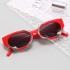 New European and American Personalized 3D Snake Sunglasses Y2K Retro Technology Sunglasses Internet Celebrity Same Style Sunglasses