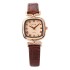 New fashionable women's watch, female model, student niche, light luxury, simple temperament, square dial, high-end quartz watch