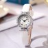 New versatile round women's watch, niche Instagram style, waterproof, high-end, student party, cross-border