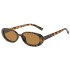 Cross border 2022 new European and American fashion oval cow color retro sunglasses with small frame INS style personalized sunglasses