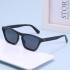 New European and American cat eye sunglasses 2331 color blocking series fashionable and versatile sunglasses for men and women cross-border sunglasses