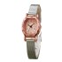 New style fashionable women's watch, women's mesh belt, wine barrel, round life, waterproof, high aesthetic value, student niche sense