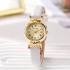 Cross border popular new fashionable women's watch, women's style, compact retro belt, high beauty wholesale student watch