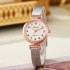 Fashion niche popular women's watches, women's styles, mesh steel straps, student party, high-end aesthetics, new Guangzhou watches