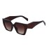 2022 New Fashionable Cat Eye Wide Mirror Leg Sunglasses for Women Ins Foreign Trade Wholesale Sunglasses UV Protection