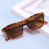 New European and American cat eye sunglasses 2331 color blocking series fashionable and versatile sunglasses for men and women cross-border sunglasses