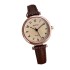 New Fashionable Women's Watch, Women's Retro Small Design, Light Luxury Art Small Watch, Disc, Student Quartz Watch