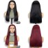 Super Double Drawn13x4 Front Lace Wig 210% Density Colored Straight Straight Hair Human Hair Wig