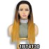 Super Double Drawn13x4 Front Lace Wig 210% Density Colored Straight Straight Hair Human Hair Wig