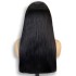 Super Double Drawn13x4 Front Lace Wig 210% Density Colored Straight Straight Hair Human Hair Wig