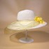 Hat Women's Summer Korean Edition Trendy Small Edge Mesh Sunscreen Hat Foldable Beach Hat Sunscreen Hat Mesh Straw Hat