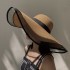 Big brimmed face covering hat, elegant organza fisherman hat, women's summer thin shade and sun protection, Korean version, Japanese grass hat