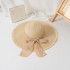 Dayan Beach Straw Hat Women's Summer Travel Vacation Sunscreen Hat Haired Bow Big Hat Eaves Sunscreen Hat Wholesale