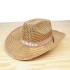 Factory direct sales grass hat, summer denim hat, three grass sun hats, professional logo making, one piece dropshipping