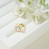 Cross border Color Preserved 18K Gold Clover Bracelet Stainless Steel Shell Necklace 13MM Set Clover Five Flower Jewelry