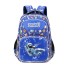 Natural Fish Elementary School Children's Third to Sixth Grades Backpack Wear resistant Ultra light Double Shoulder Bag Wholesale