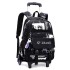 Natural Fish New Pull up Backpack Wholesale for High School and Primary School Students, Grades 2-6, Large Capacity Cross border Dual use Backpack