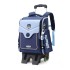 Natural Fish New Boys and Girls Primary School Students' Pull up Backpack for Grades 3-6, Detachable Backpack for Climbing Stairs