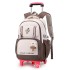 Natural Fish New Lightweight Pull up Backpack Primary School Girls' Large Capacity Backpack 3-6 Grade Middle School Students' Backpack