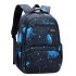 Cross border popular natural fish new product student backpack for boys and girls in grades 4-6, printed and distributed