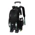 Natural Fish Pull up Backpack for Children 3-6 Grades Elementary School Students Backpack with Wheels Female Junior High School Students Pull up Box Backpack