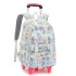 Natural Fish New Style 2nd to 6th Grade Stair Climbing Pull Rod Backpack Junior High School Boys Large Capacity Detachable One Piece Hair Collection