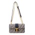 Advanced texture women's bag 2024 new French printed chain diagonal cross bag versatile shoulder bag retro small square bag