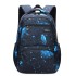 Cross border natural fish new fashionable backpack for primary and secondary school students, boys and girls in grades 4-6, backpack printing