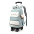 Natural fish pull rod backpack hot selling in Europe and America, large capacity dual-use backpack for elementary school students, six wheel stair climbing backpack with printed lettering