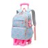 Natural Fish New Primary School Students' Pull up Backpack for Girls 2-5 Grades, Large Capacity Detachable Backpack for Hair Collection