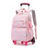 Natural Fish New Primary School Students' Pull up Backpack for Girls 2-5 Grades, Large Capacity Detachable Backpack for Hair Collection