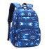 Cross border natural fish new fashionable backpack for primary and secondary school students, boys and girls in grades 4-6, backpack printing