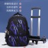 Natural Fish New Pull up Backpack Wholesale for Primary School Students, Boys' Fashion Large Capacity Cross border Hot Selling Dinosaur Starry Sky Map