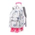 Natural Fish New Style, 2nd to 6th Grades, Climbing Stairs, Pullrod Backpack, Girls' Junior High School, Large Capacity, Detachable, One Piece Hair Collection